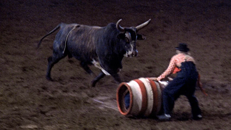 Rodeo screenshot 2