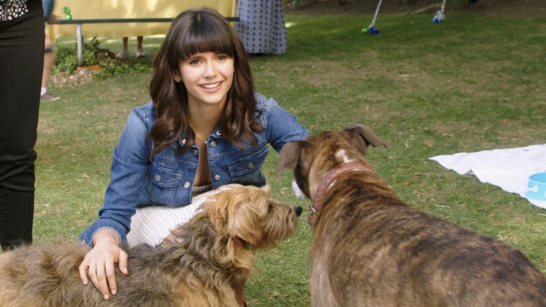 Dog Days screenshot 6