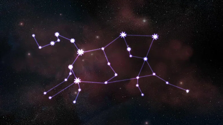 Prehistoric Astronomers screenshot 3