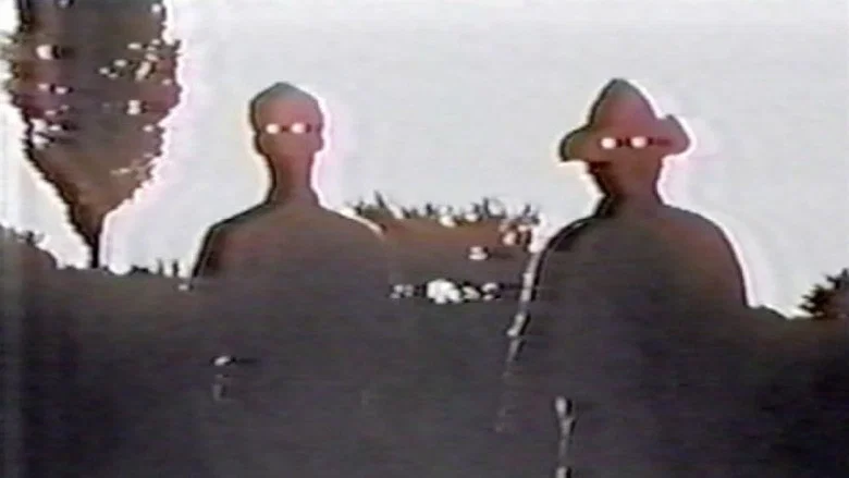 Border Camera screenshot 1