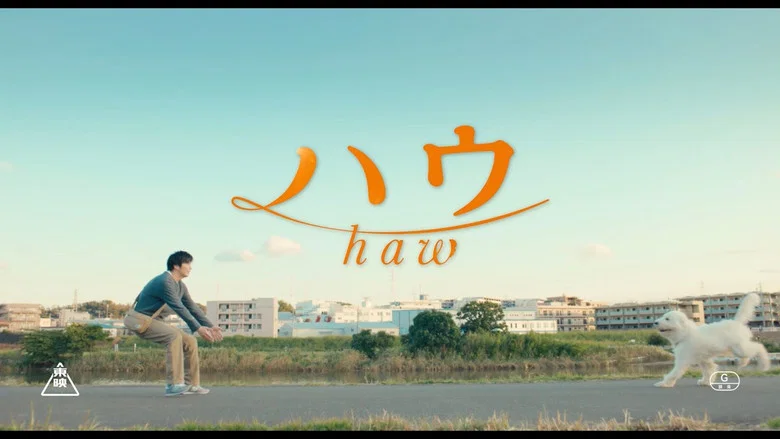 Haw screenshot 2