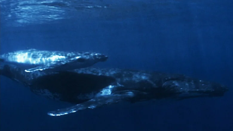 At the Edge of the World screenshot 3