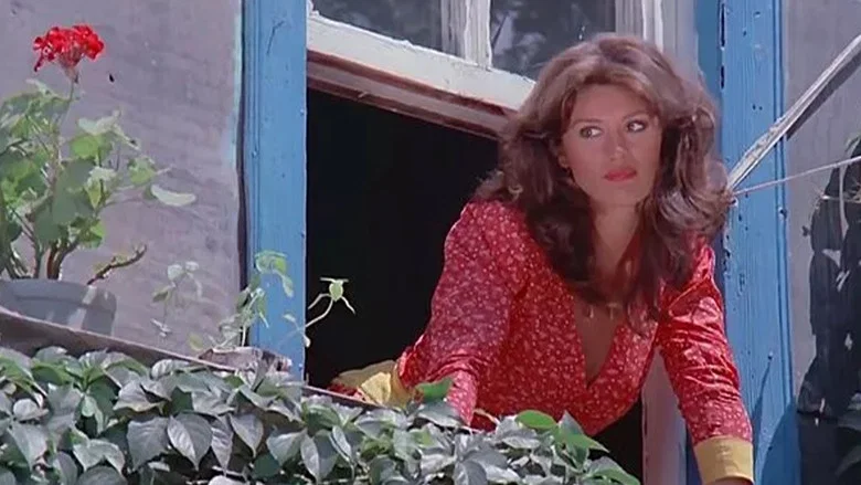 Girgiriye screenshot 4