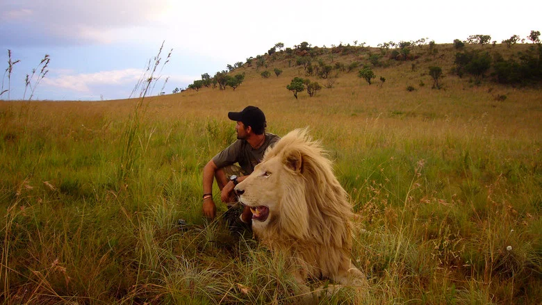 African Safari screenshot 1