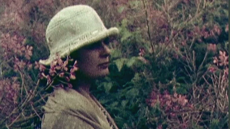 The Birth of Music screenshot 3