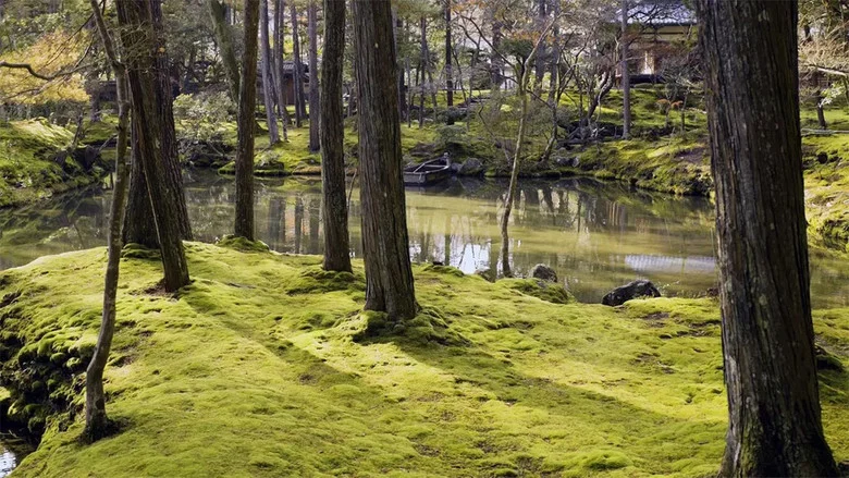 The Magical World of Moss screenshot 3