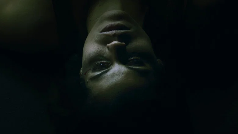 Circle screenshot 8