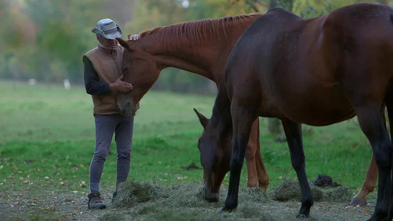Un cavalier, un rêve, Boucane screenshot 1