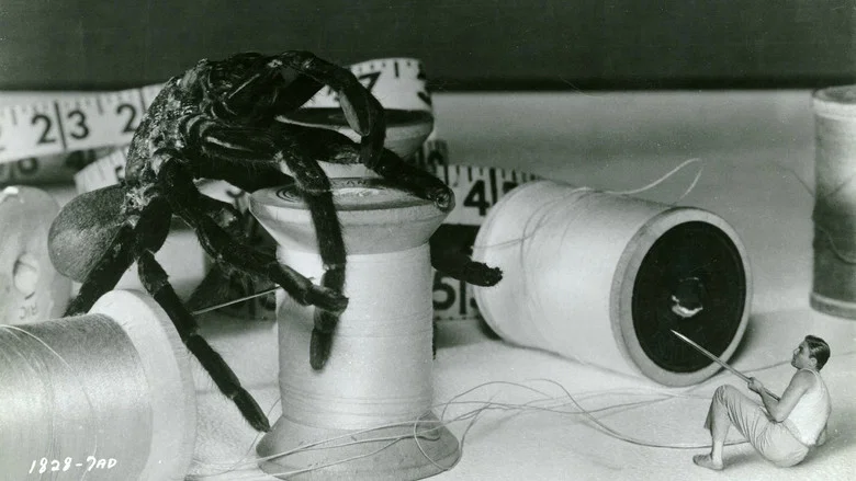 The Incredible Shrinking Man screenshot 3