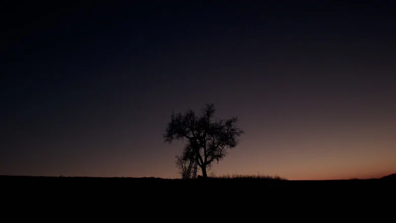 Hymn from the Hive screenshot 7