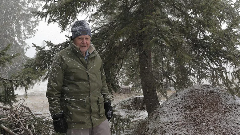 Attenborough and the Empire of the Ants screenshot 8