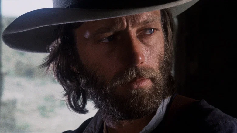 The Hired Hand screenshot 1