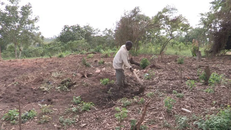 The Mubende Case and the bitter taste of eviction screenshot 2