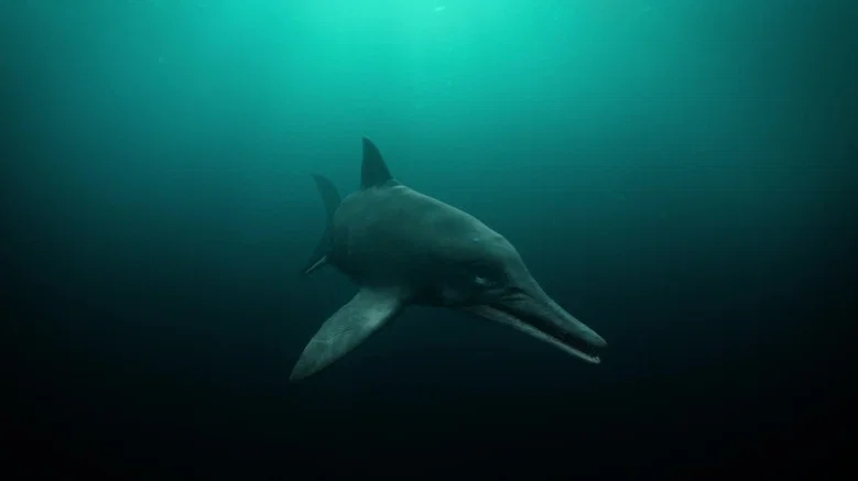 Attenborough and the Sea Dragon screenshot 8