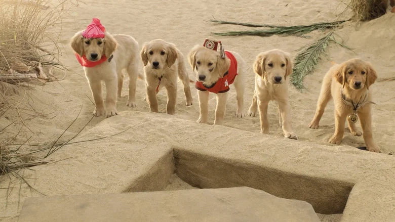 Treasure Buddies screenshot 1
