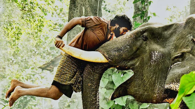 Kumki screenshot 1