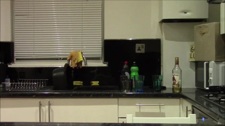 The Decimation of Sanity screenshot 7