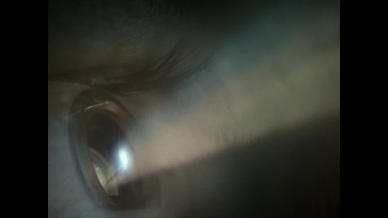 Muse screenshot 2
