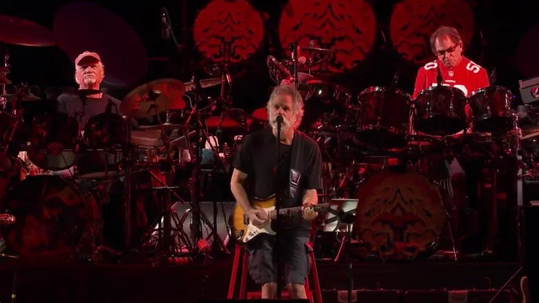 Grateful Dead: 2015.06.28 - Santa Clara, CA screenshot 1