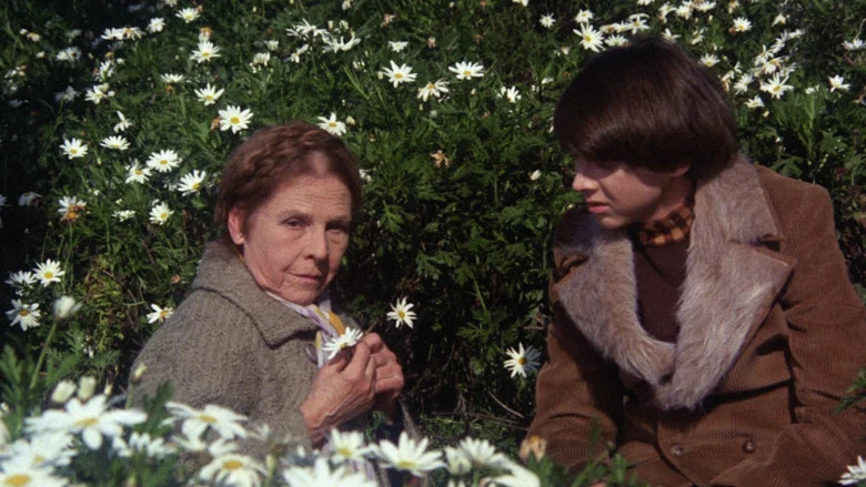 Harold and Maude screenshot 7