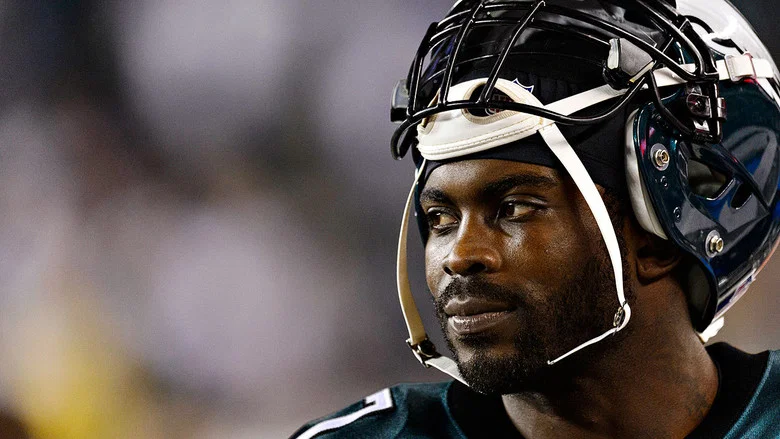 Vick screenshot 2