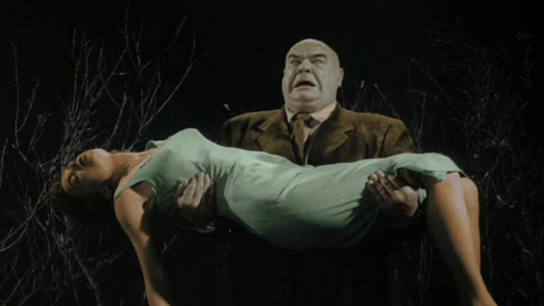Plan 9 from Outer Space screenshot 7