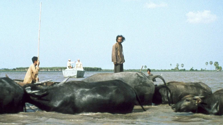Buffalo Boy screenshot 2