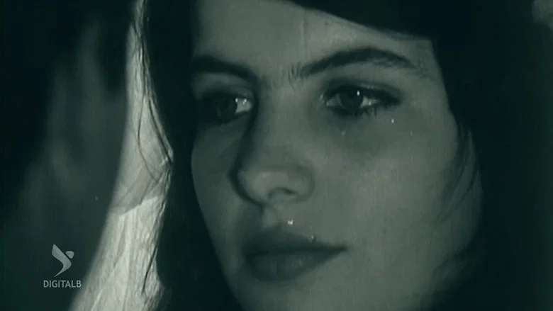 The Bride and the Curfew screenshot 1