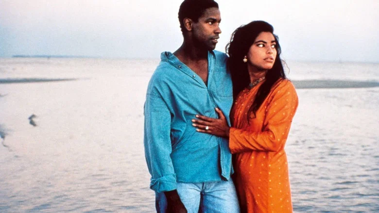 Mississippi Masala screenshot 2
