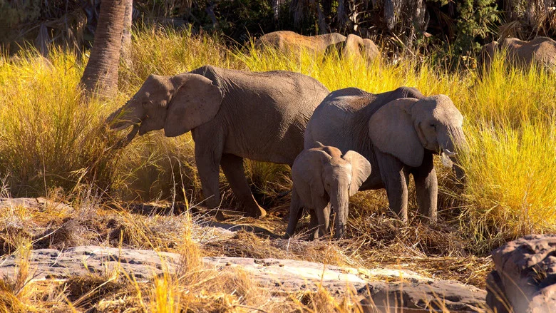 Namibia, Sanctuary of Giants screenshot 1