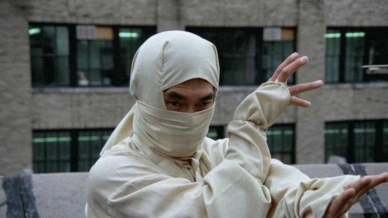 New York Ninja screenshot 4