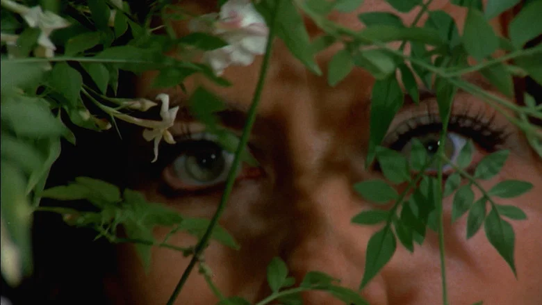 Virgin Witch screenshot 4