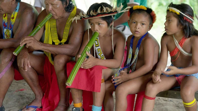 Amazonie, les murmures de la forêt screenshot 2