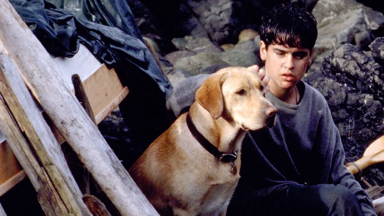 Far from Home: The Adventures of Yellow Dog screenshot 3