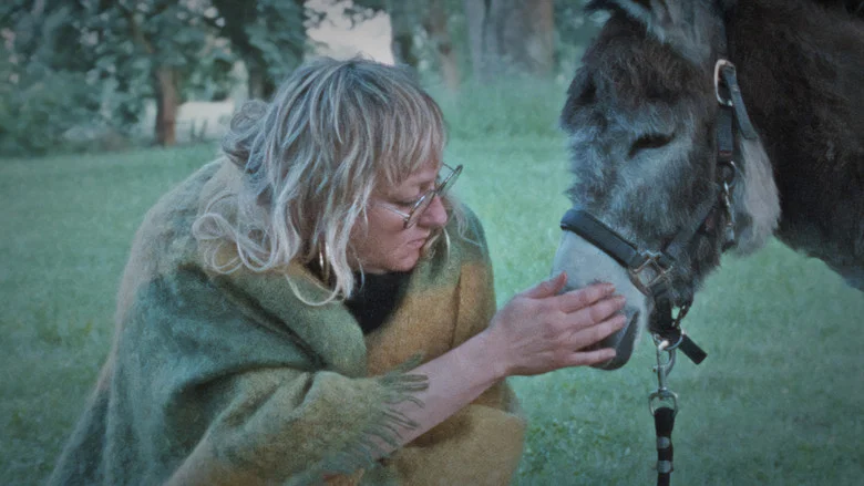 Donkey Days screenshot 2