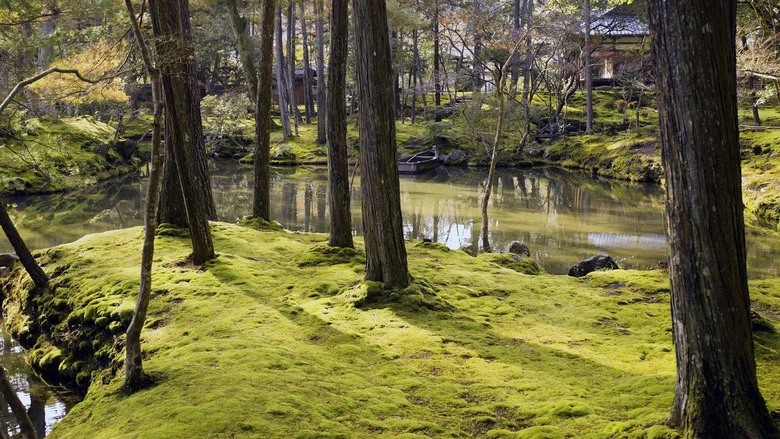 The Magical World of Moss screenshot 6