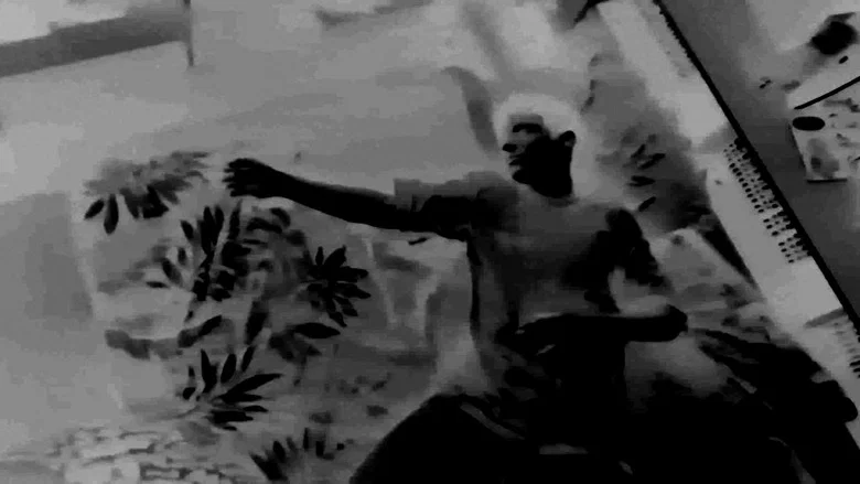 Centaurea screenshot 5
