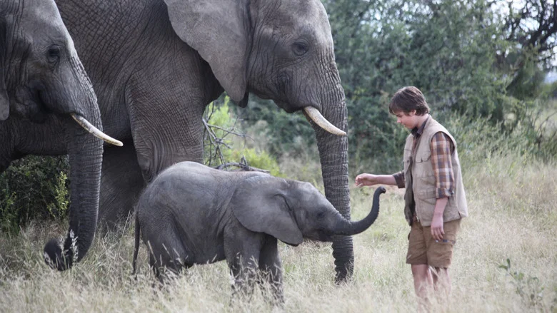 An Elephant's Journey screenshot 5