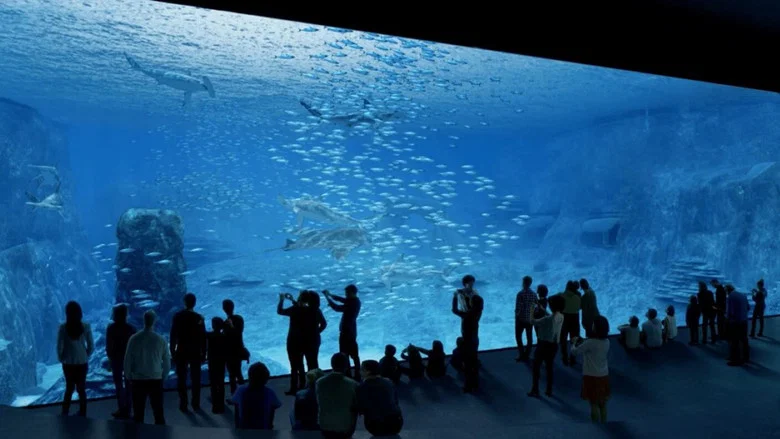Nausicaa: The Largest Aquarium in Europe screenshot 1