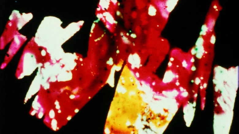 Divinations screenshot 1