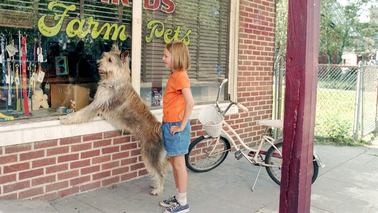 Because of Winn-Dixie screenshot 6