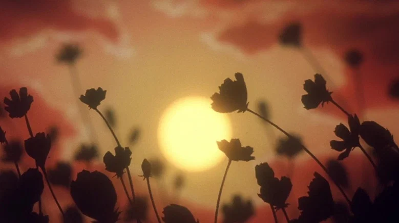 Escaflowne: The Movie screenshot 7