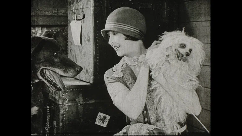 Wonder Dogs! Canine Stars of the Silent Era (1898-1928) screenshot 7