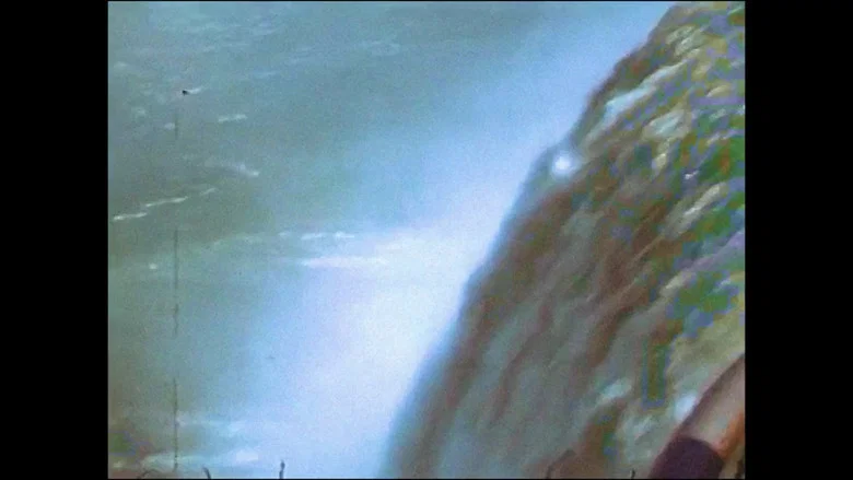 Web #42 screenshot 1