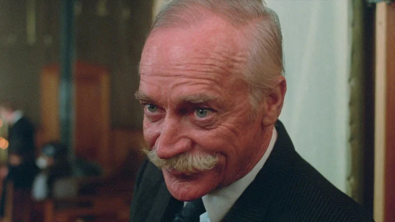 The Grey Fox screenshot 3