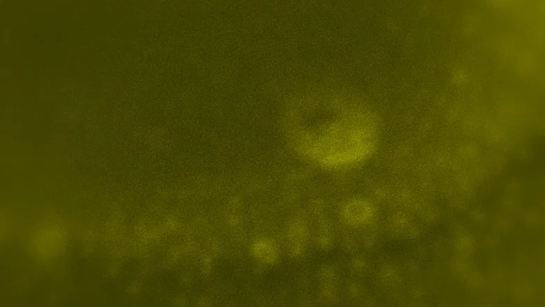 SINKpisser screenshot 1