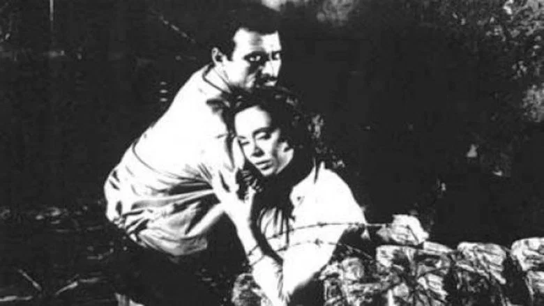 Jamila, the Algerian screenshot 2