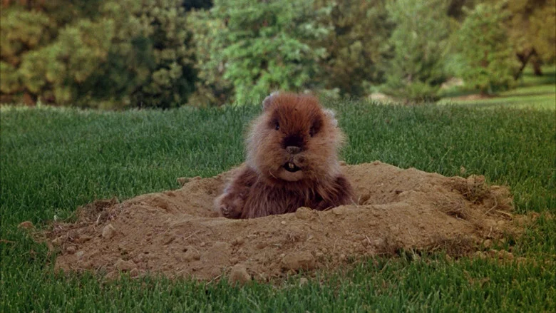 Caddyshack screenshot 7