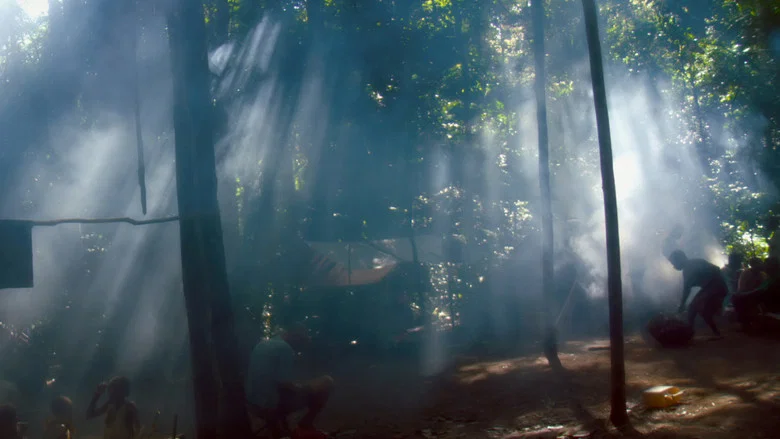 Song from the Forest screenshot 3