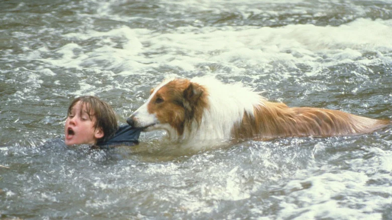 Lassie screenshot 1